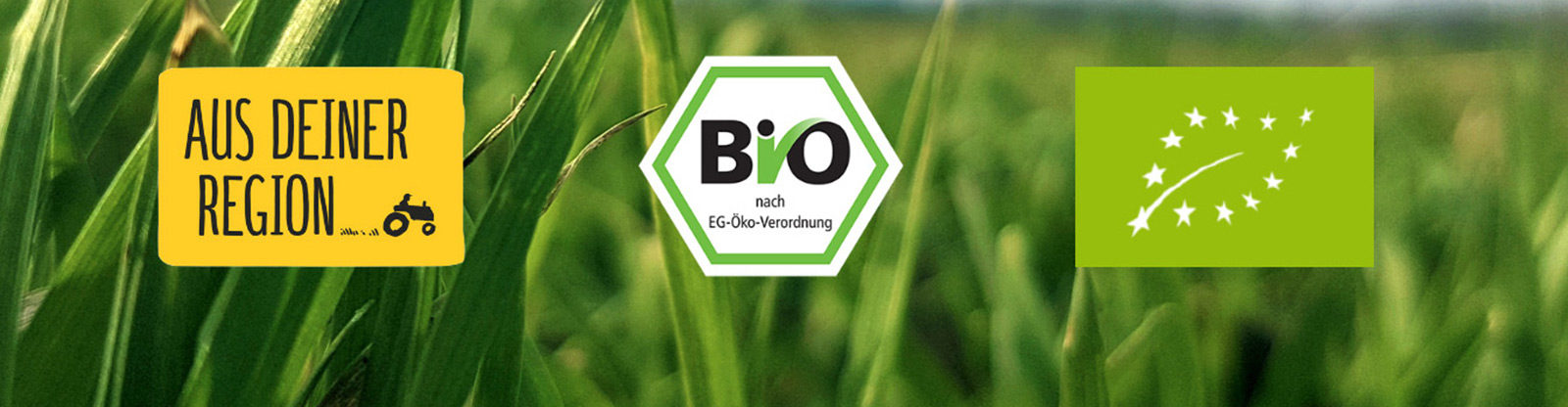 Bio Rind aus der Region